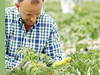 Técnicas Agrícolas
