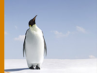 Administração de Redes Linux