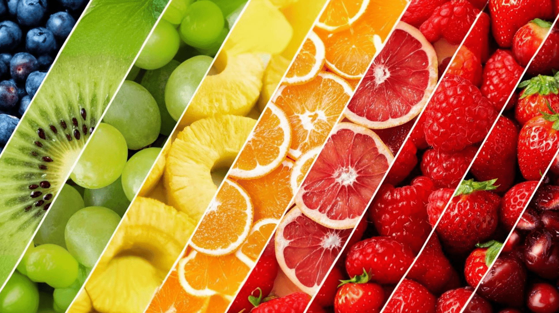 Curso - NT Educação