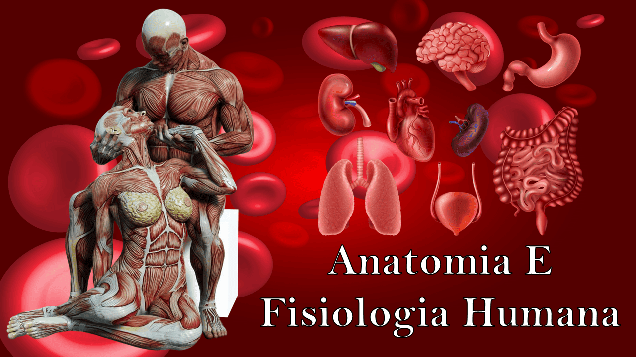 Curso - NT Educação